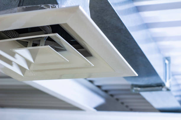 Best Affordable Duct Cleaning Services  in Tchula, MS