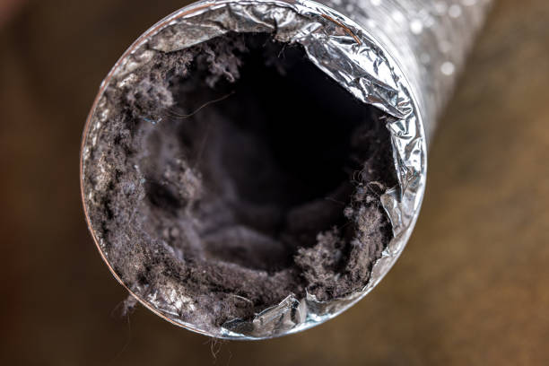 Best Professional Duct Cleaning Services  in Tchula, MS