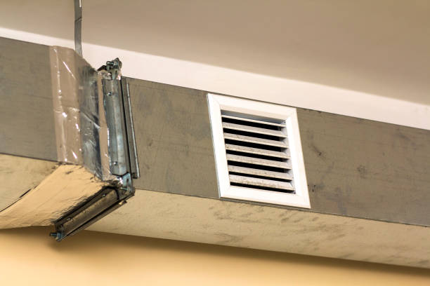 Best Professional Duct Cleaning Services  in Tchula, MS